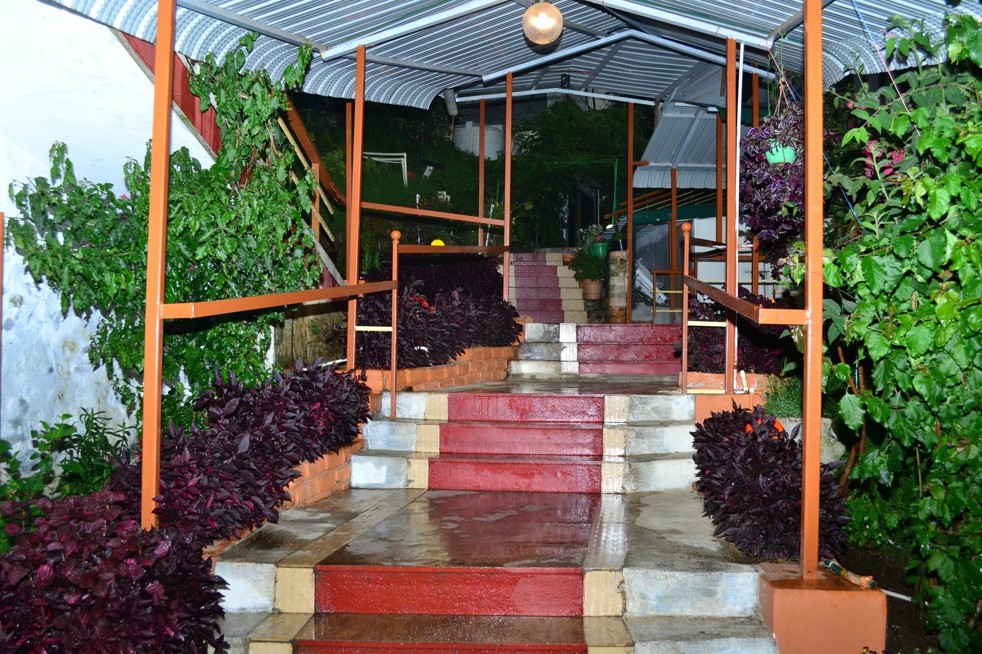 Kodai Sunshine Resort Tamilnadu - Tamilnadu - Kodaikanal Exterior foto
